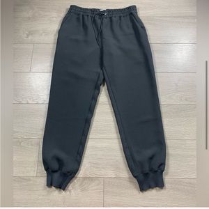 Grey Aritzia Wilfred Jogger Pants